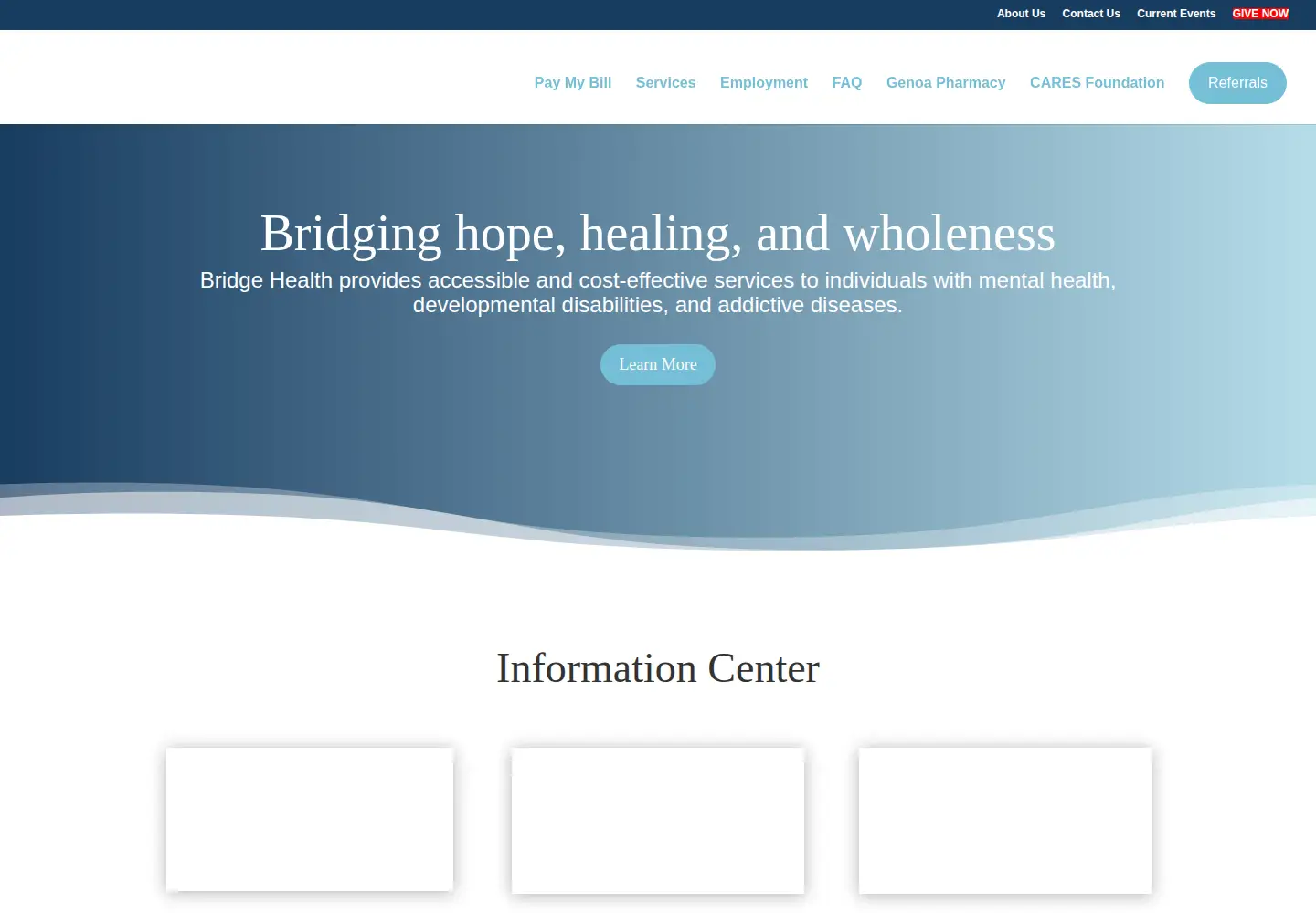 Captured homepage of bridgecsb.org in the current scan