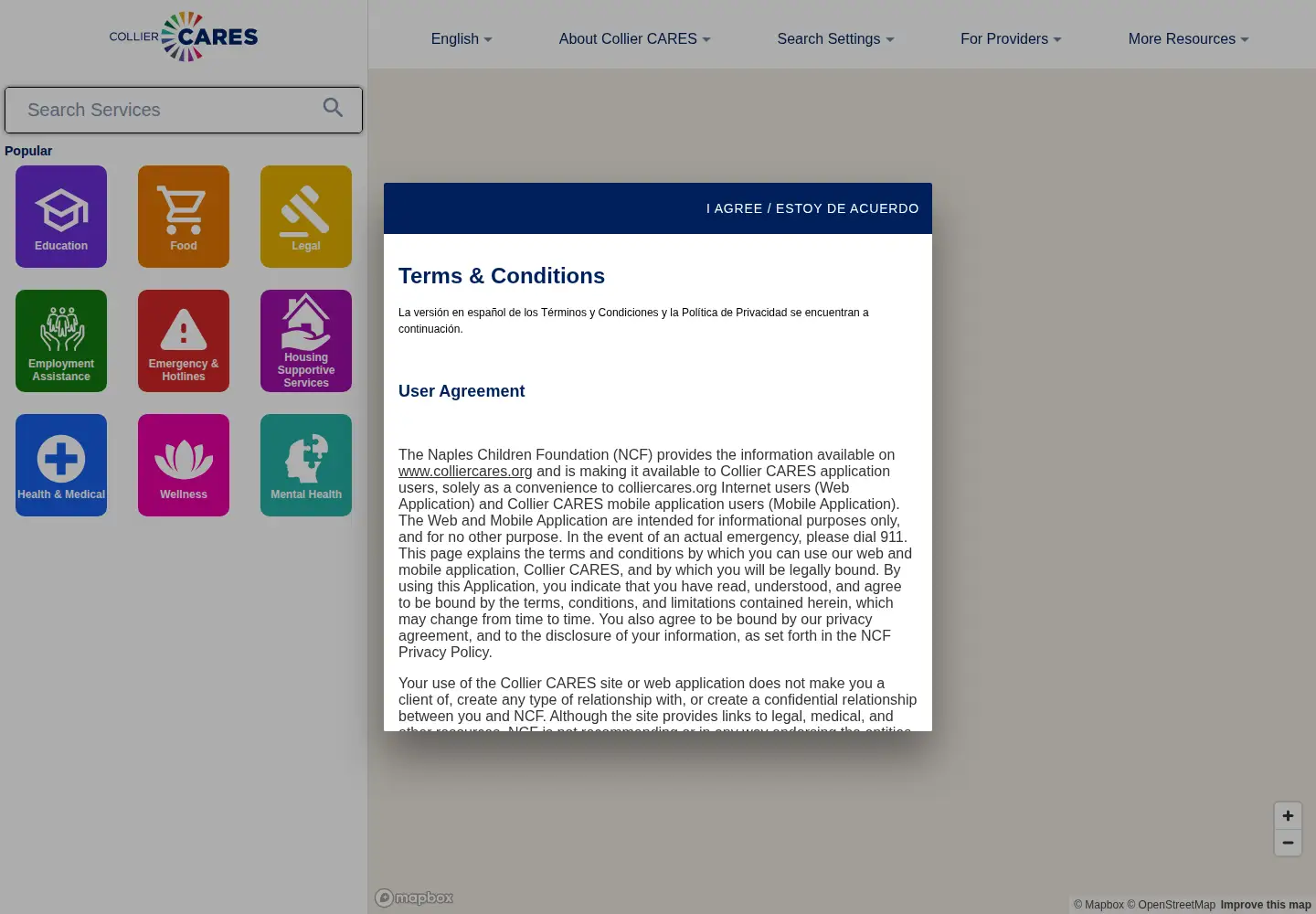 Captured homepage of colliercares.org in the current scan