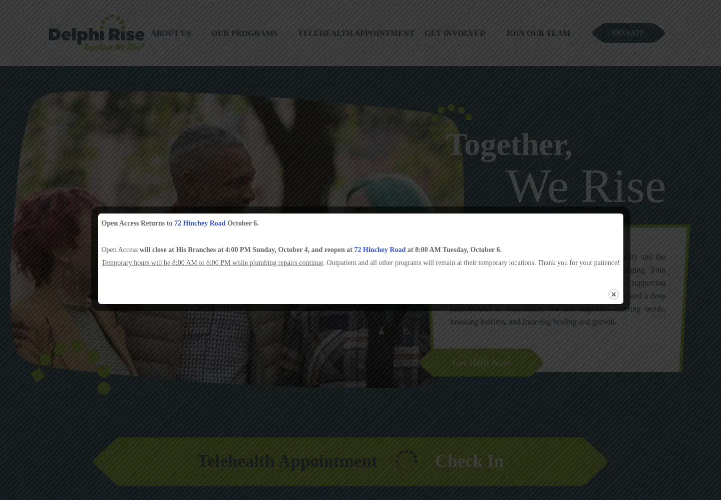 Captured homepage of delphirise.org in the current scan
