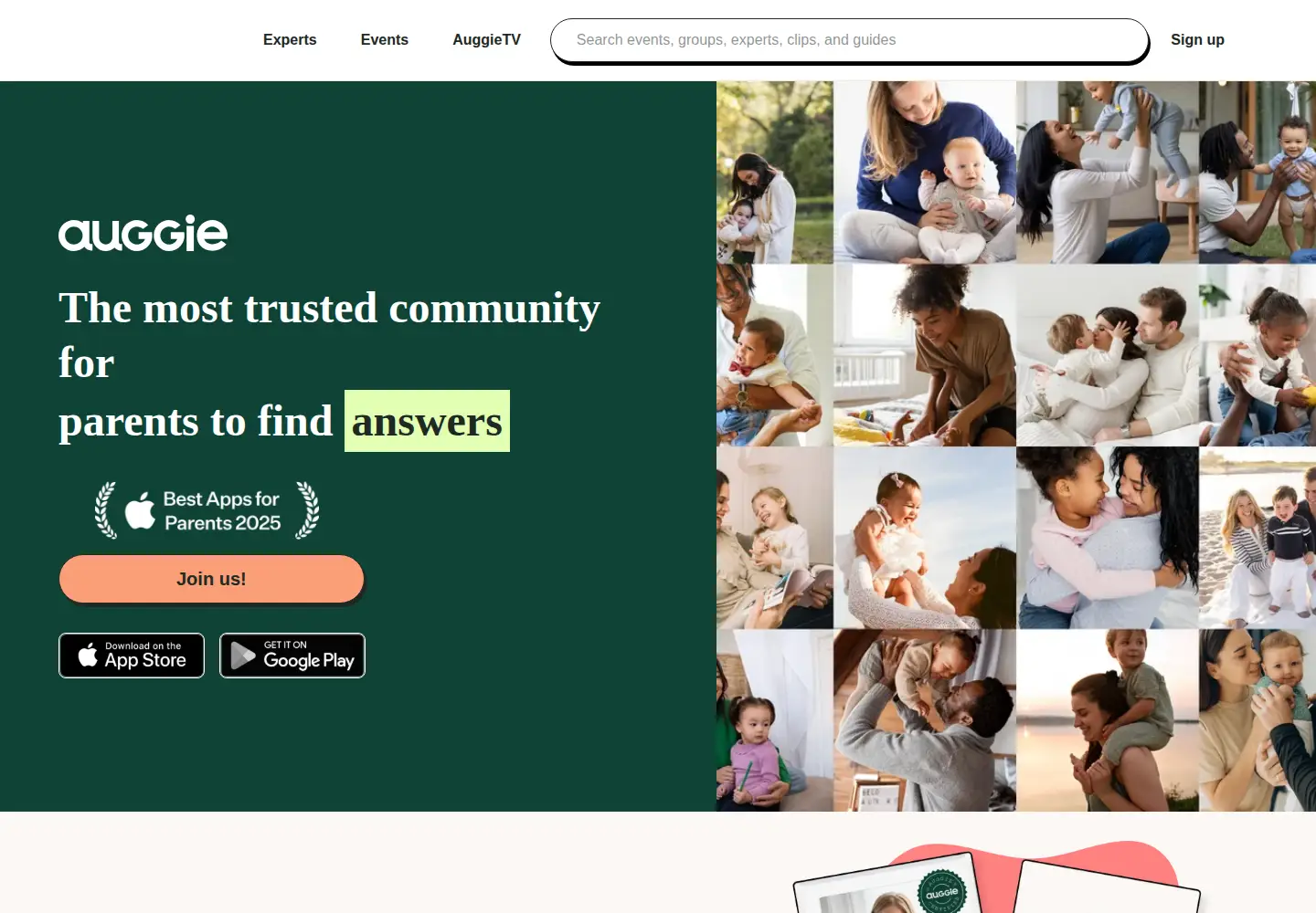 Captured homepage of auggie.com in the current scan