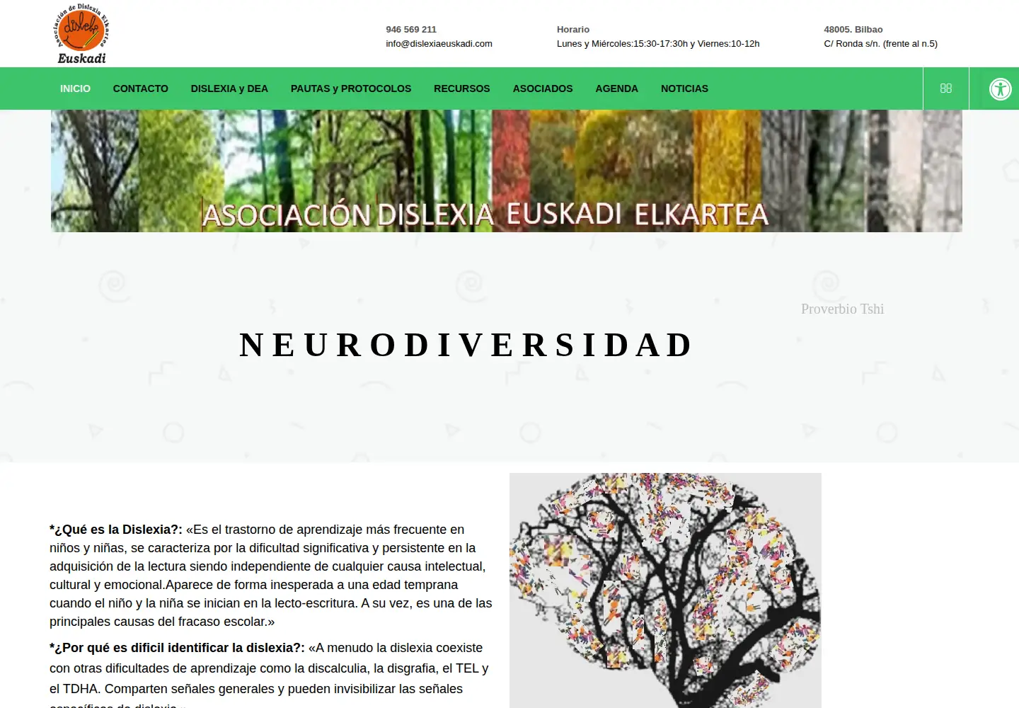 Captured homepage of dislexiaeuskadi.com in the current scan