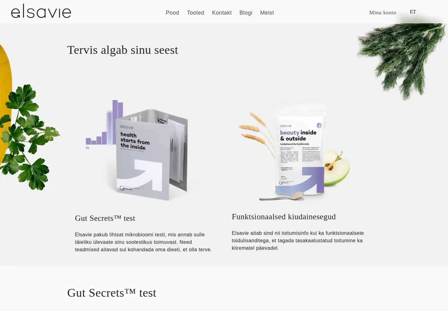 Captured homepage of elsavie.com in the current scan