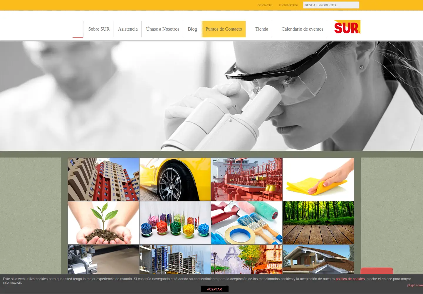 Captured homepage of gruposur.com in the current scan