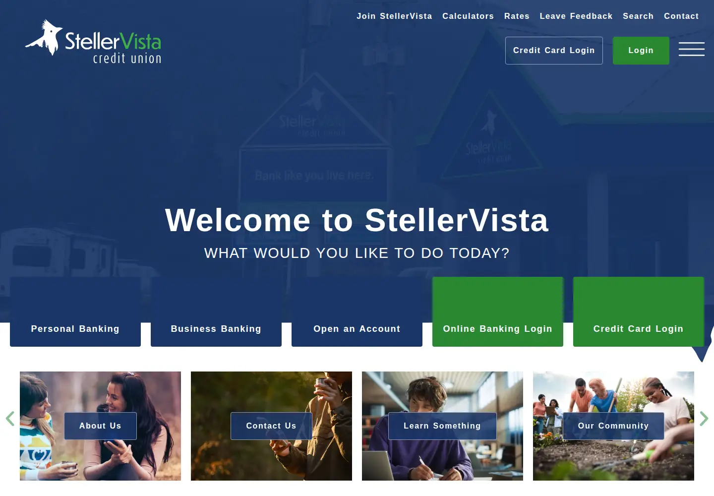 Screenshot of stellervista.com