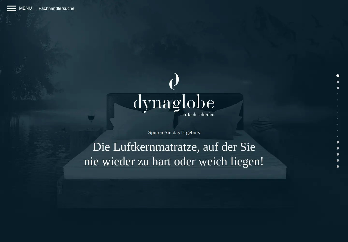 Captured homepage of dynaglobe.de in the current scan