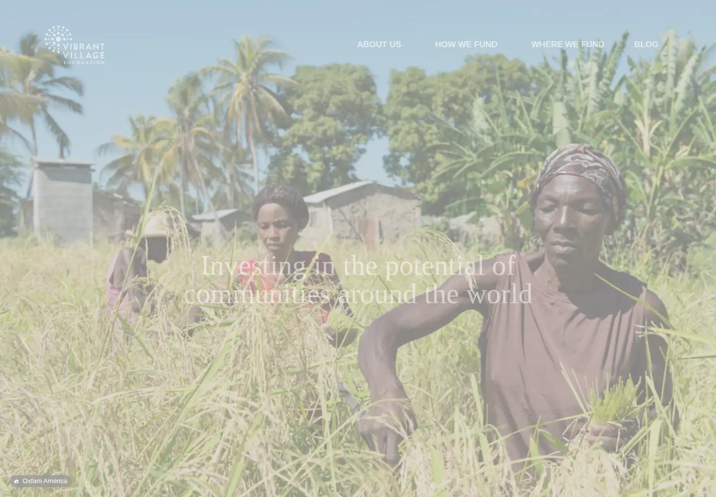 Captured homepage of vibrantvillage.org in the current scan