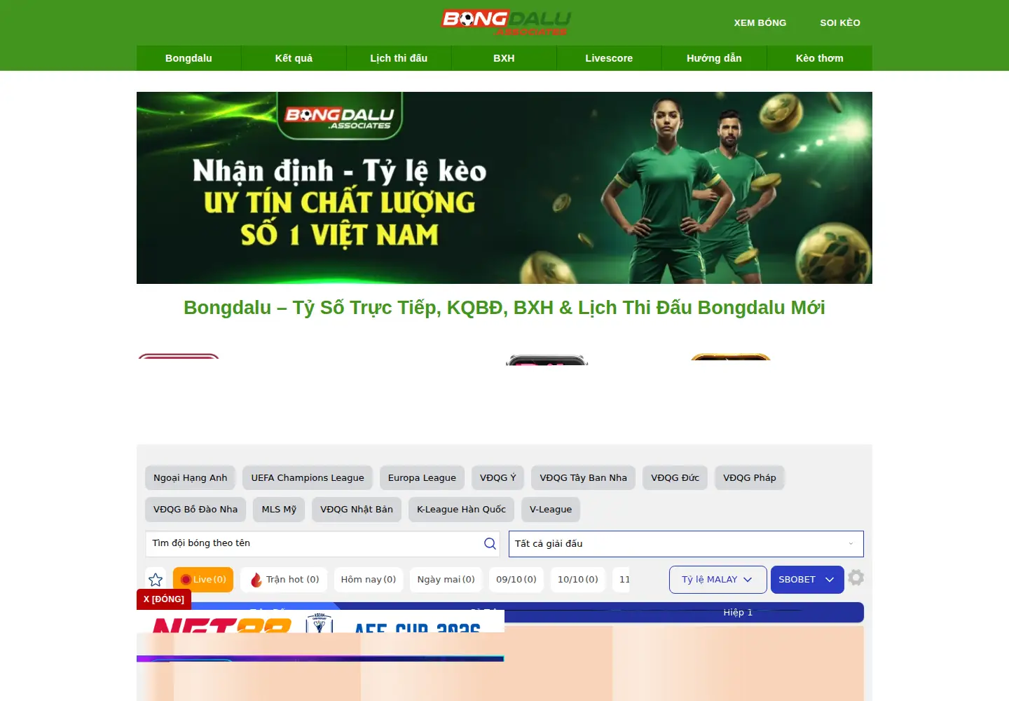 Captured homepage of bongdalu.accountant in the current scan