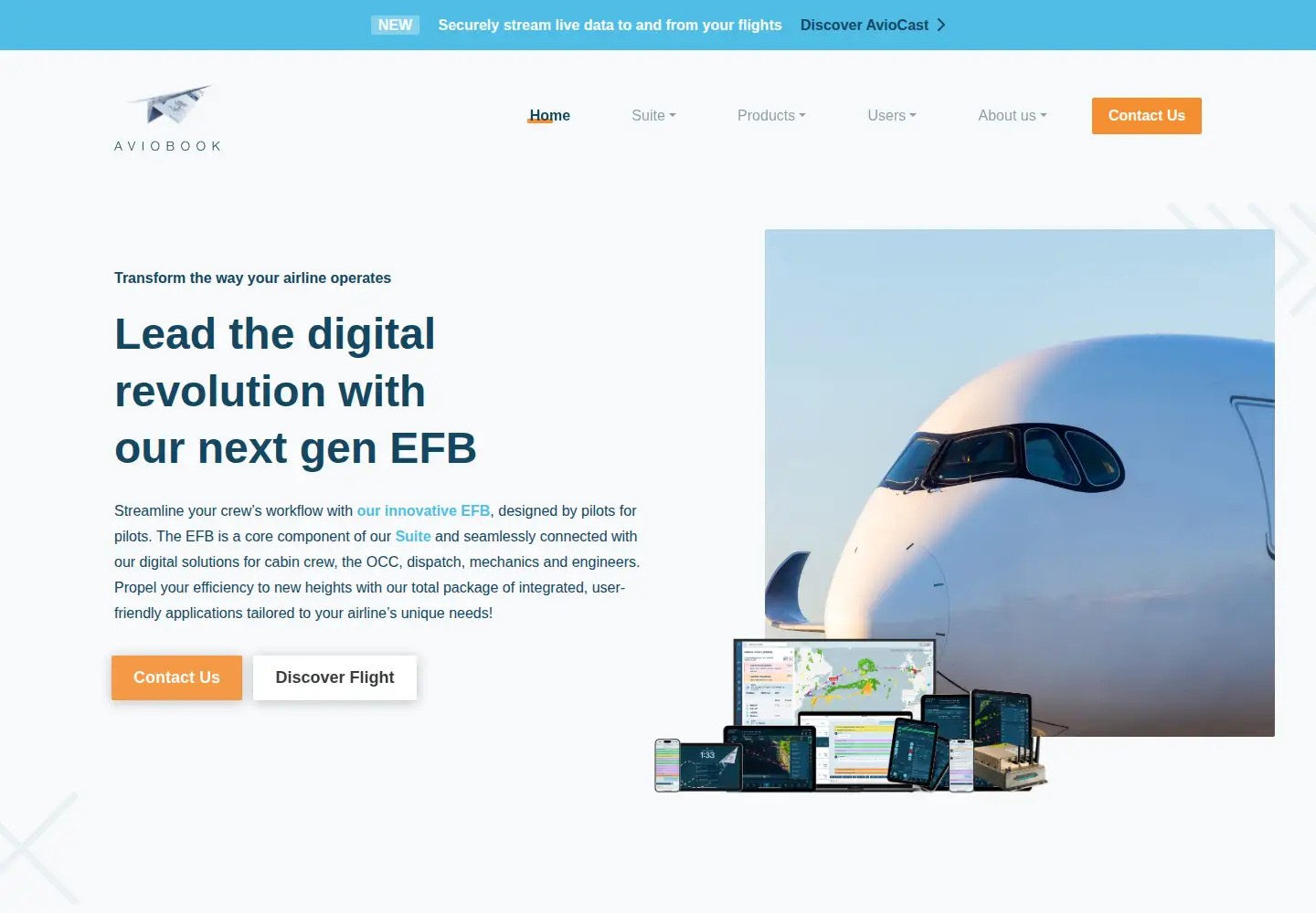 Screenshot of aviobook.aero