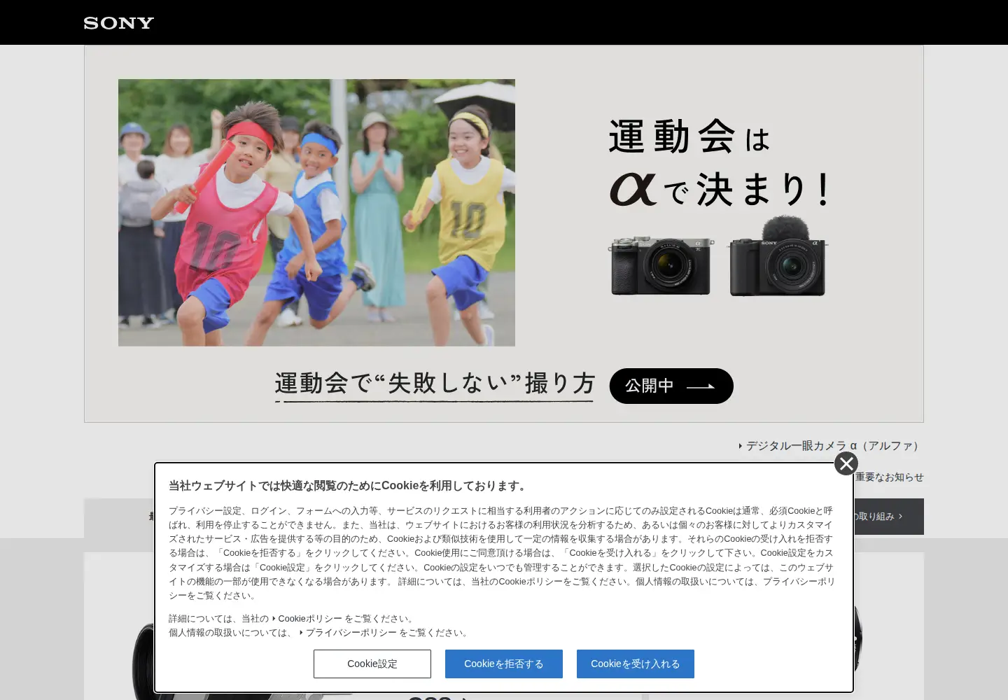 Screenshot of sony.jp