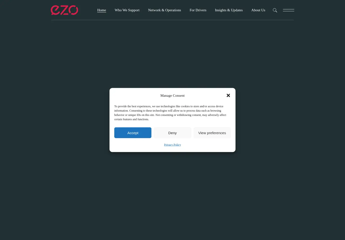 Captured homepage of ezo.co.uk in the current scan