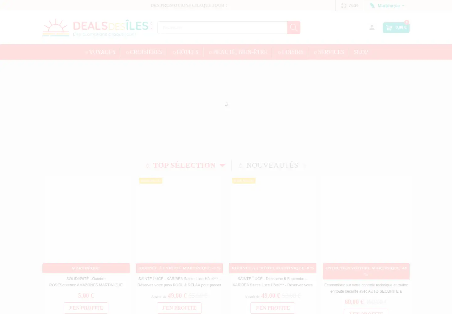 Captured homepage of dealsdesiles.com in the current scan