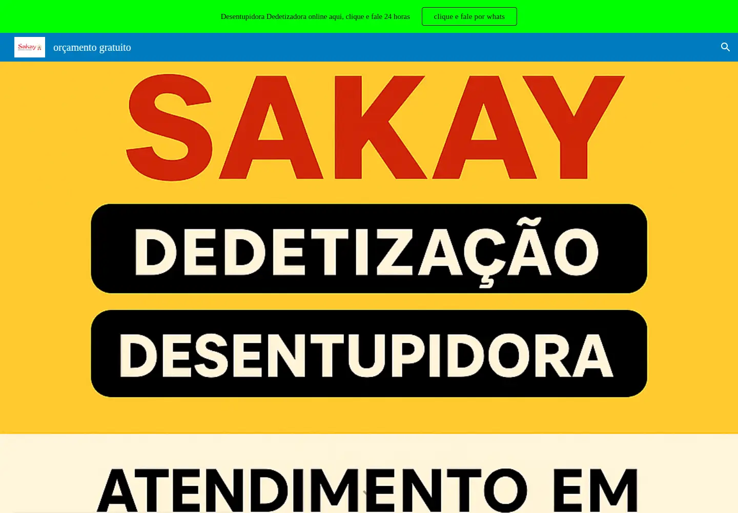 Screenshot of desentupidorasakay.com