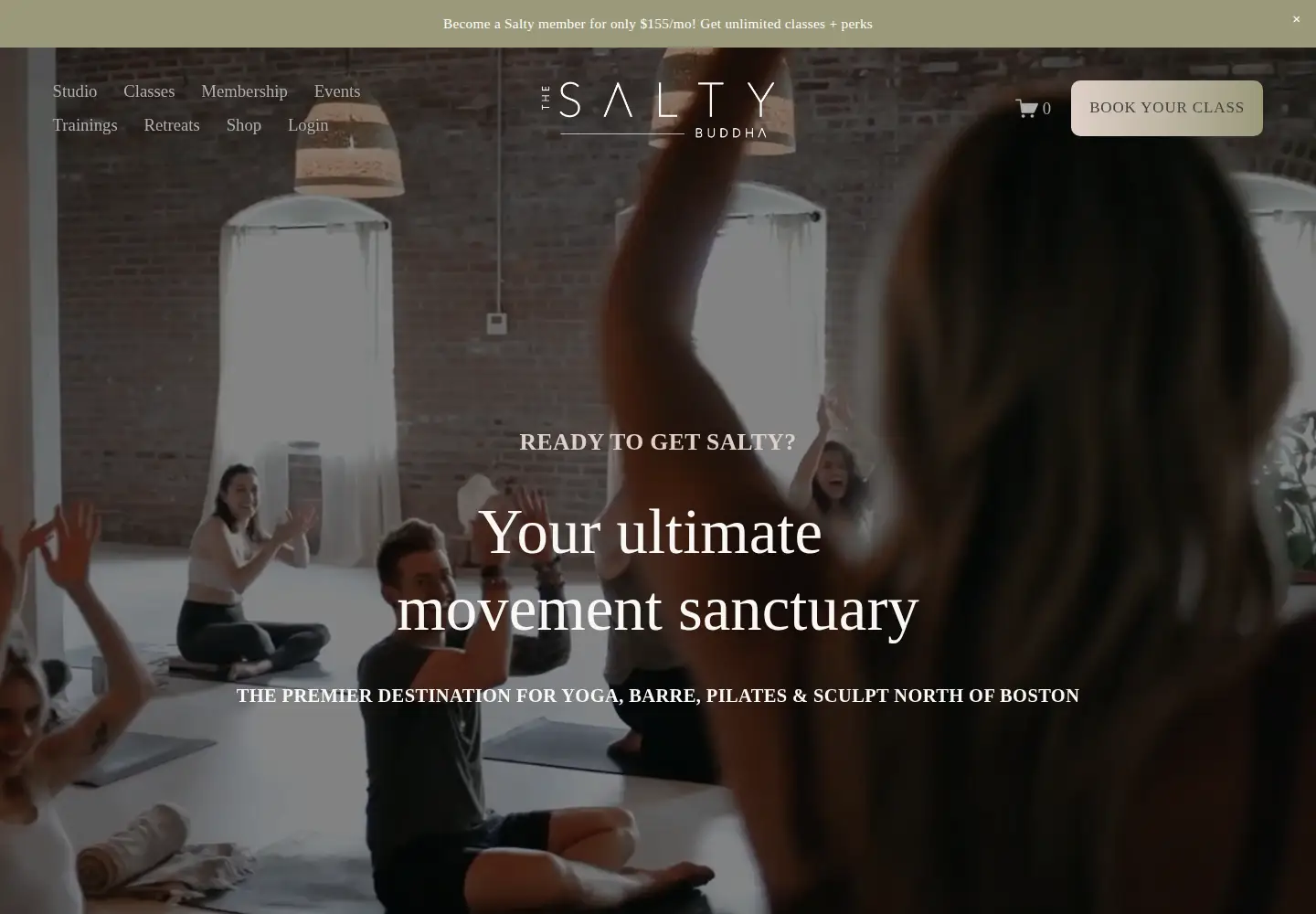 Captured homepage of thesaltybuddha.com in the current scan