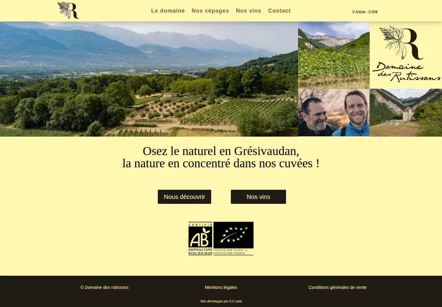 Captured homepage of domainedesrutissons.fr in the current scan