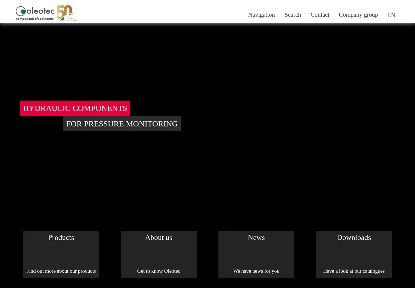 Captured homepage of oleotec.it in the current scan