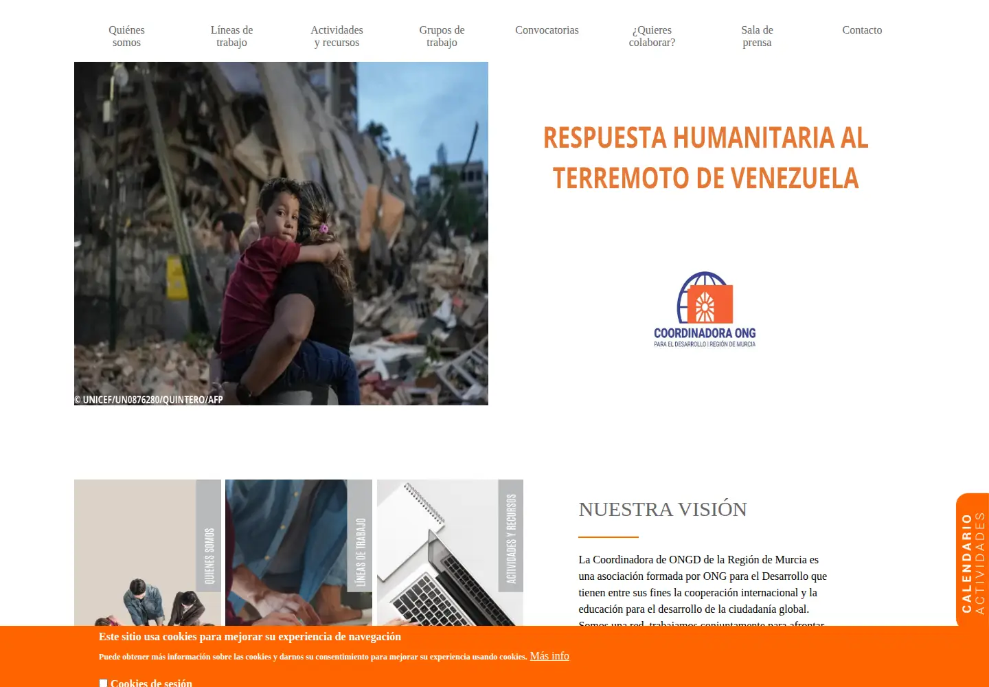 Screenshot of coordinadoraongdrm.org
