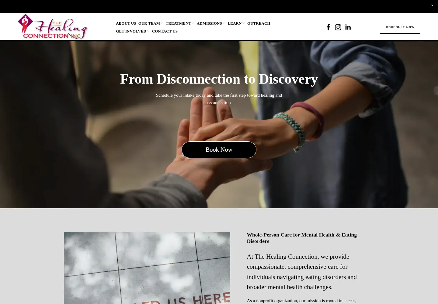 Captured homepage of thehealingconnectioninc.org in the current scan
