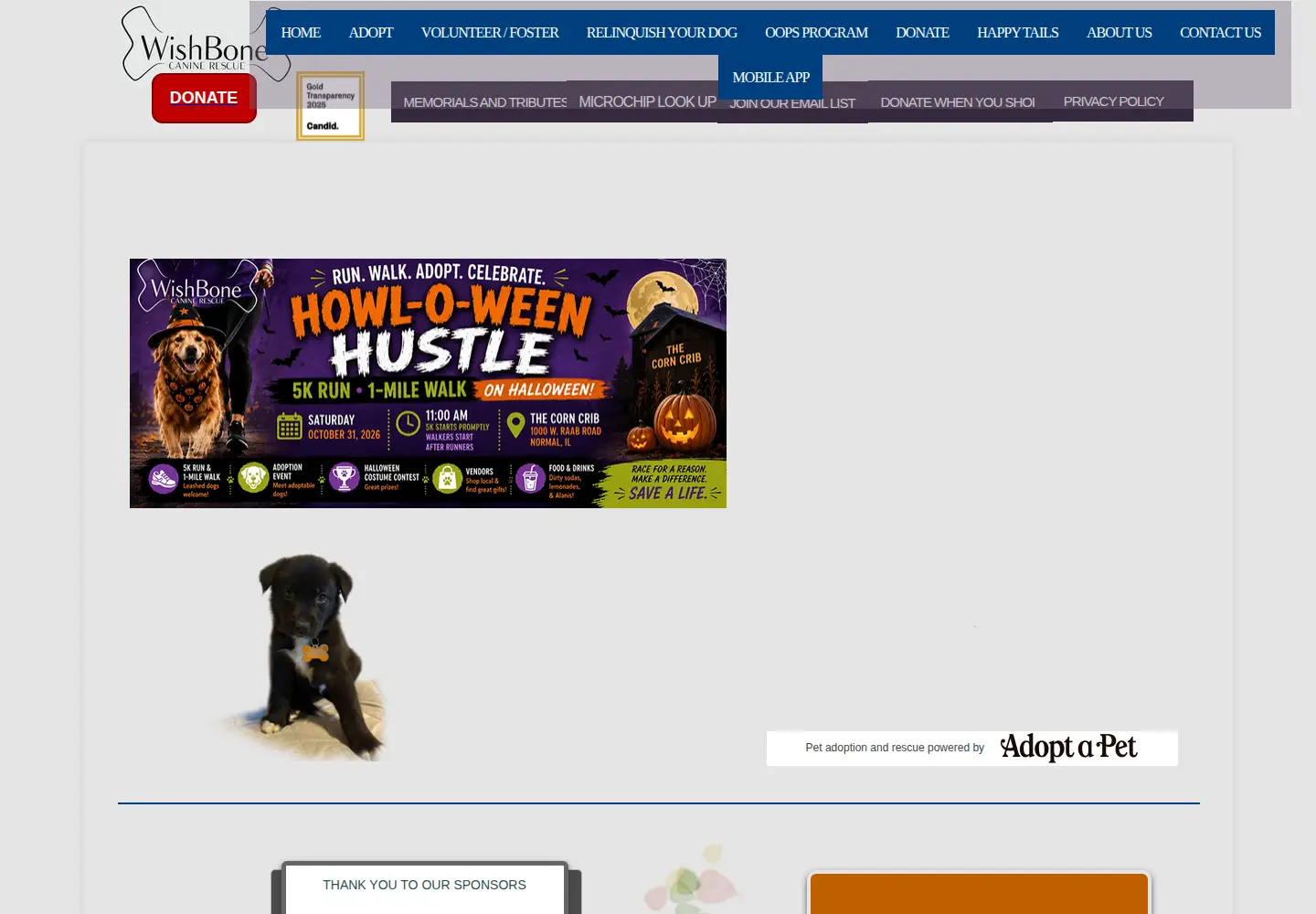 Screenshot of wishbonecaninerescue.org