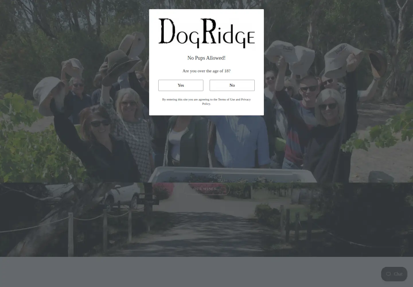 Captured homepage of dogridge.com.au in the current scan