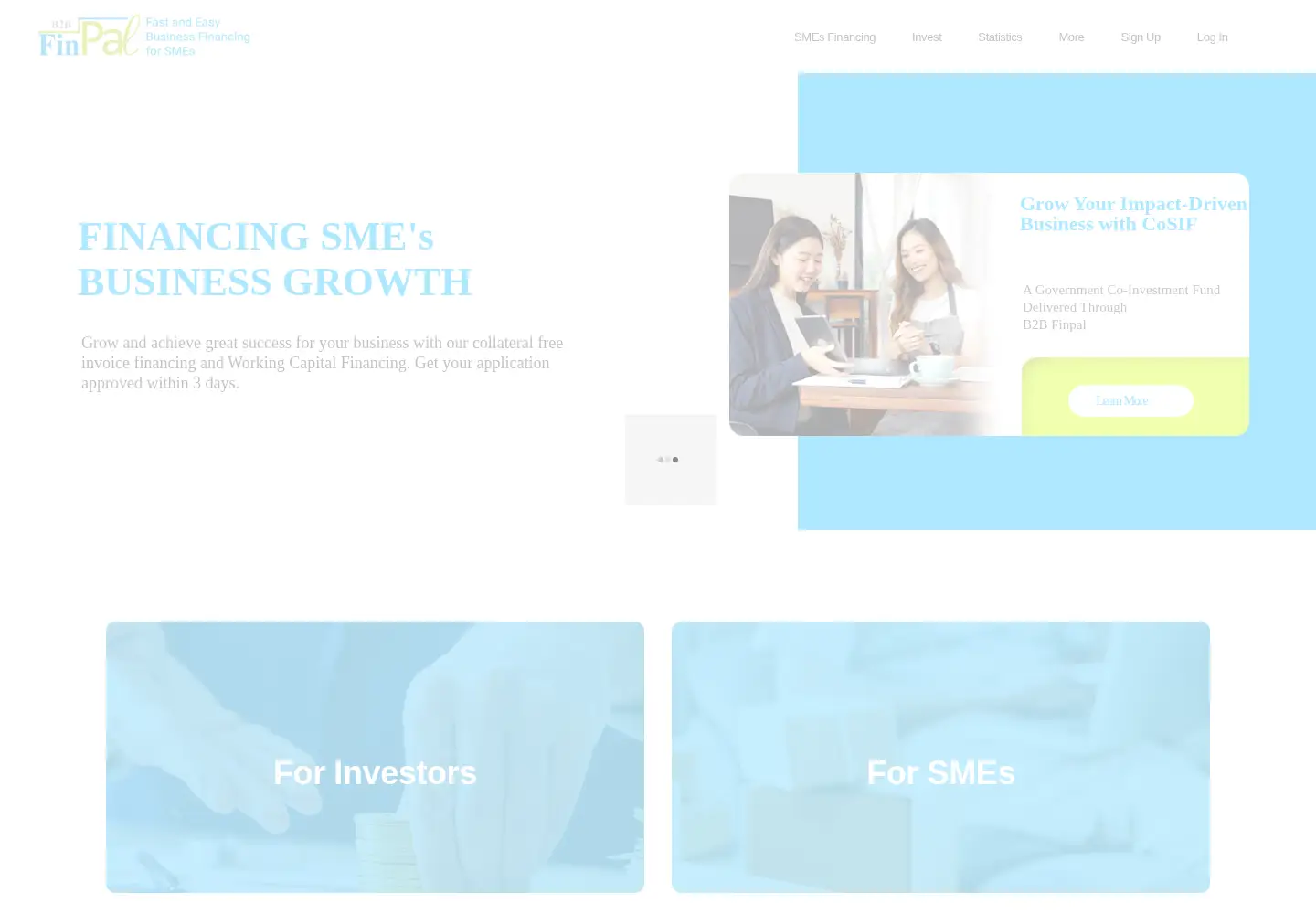 Captured homepage of b2bfinpal.com in the current scan