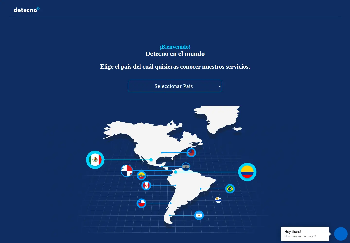 Captured homepage of detecno.com in the current scan