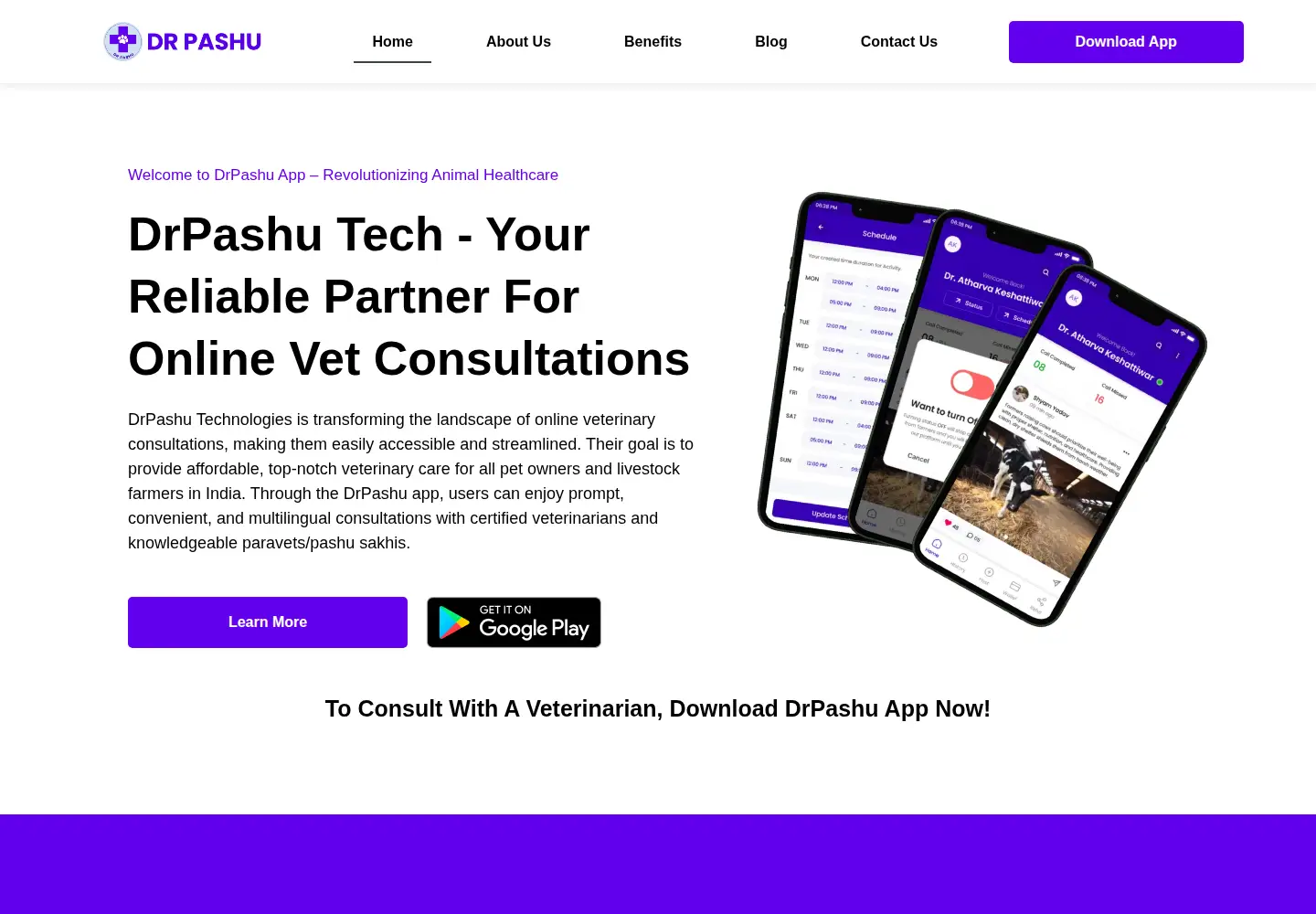Screenshot of drpashu.com