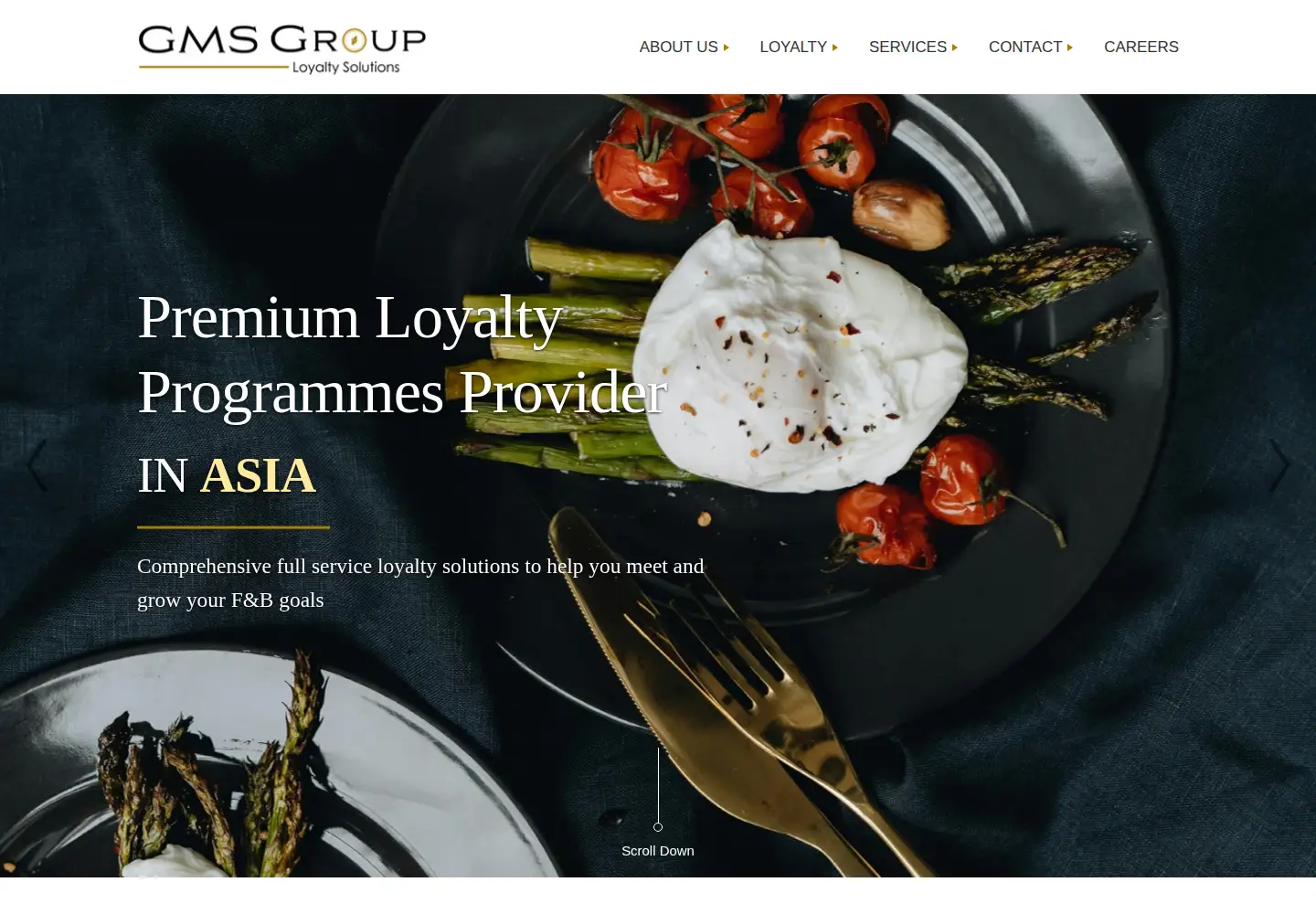 Captured homepage of gms-group.com in the current scan