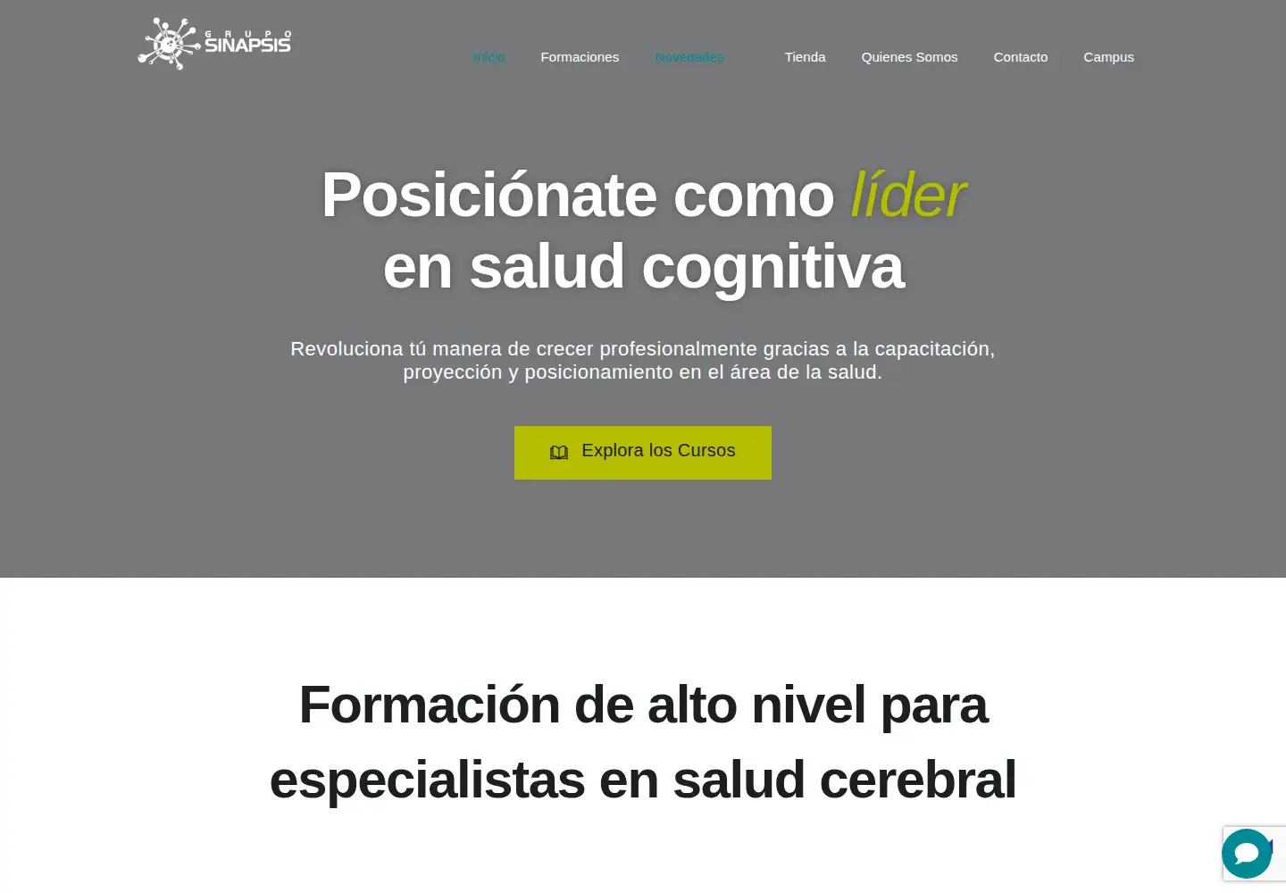 Screenshot of gsinapsis.com