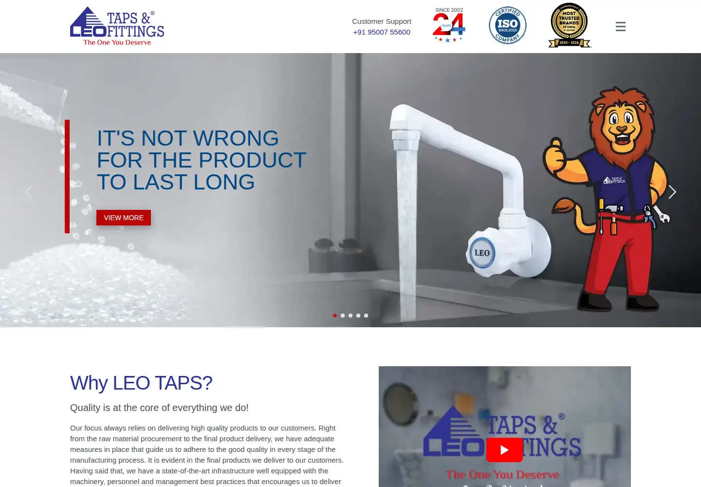 Captured homepage of leotaps.com in the current scan