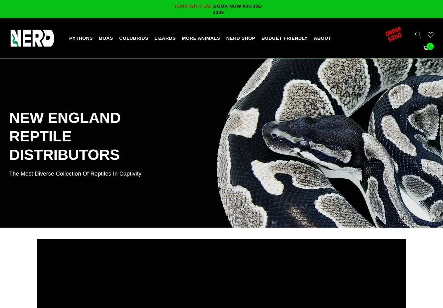 Screenshot of newenglandreptilestore.com