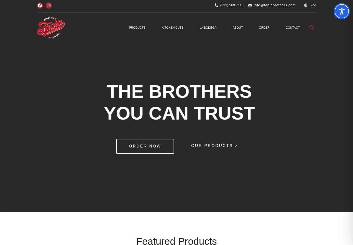 Captured homepage of tapiabrothers.com in the current scan