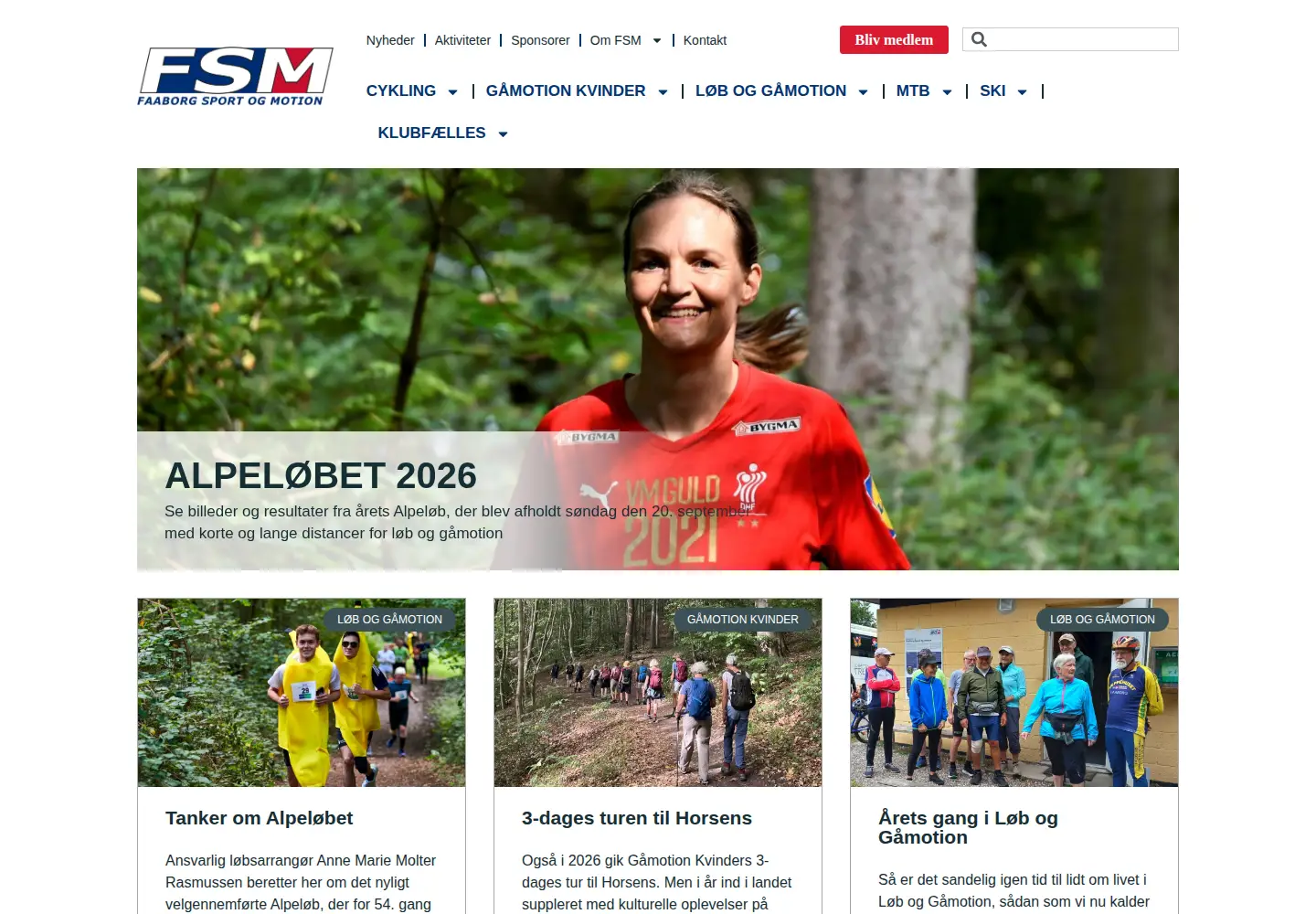 Screenshot of fsm-faaborg.dk