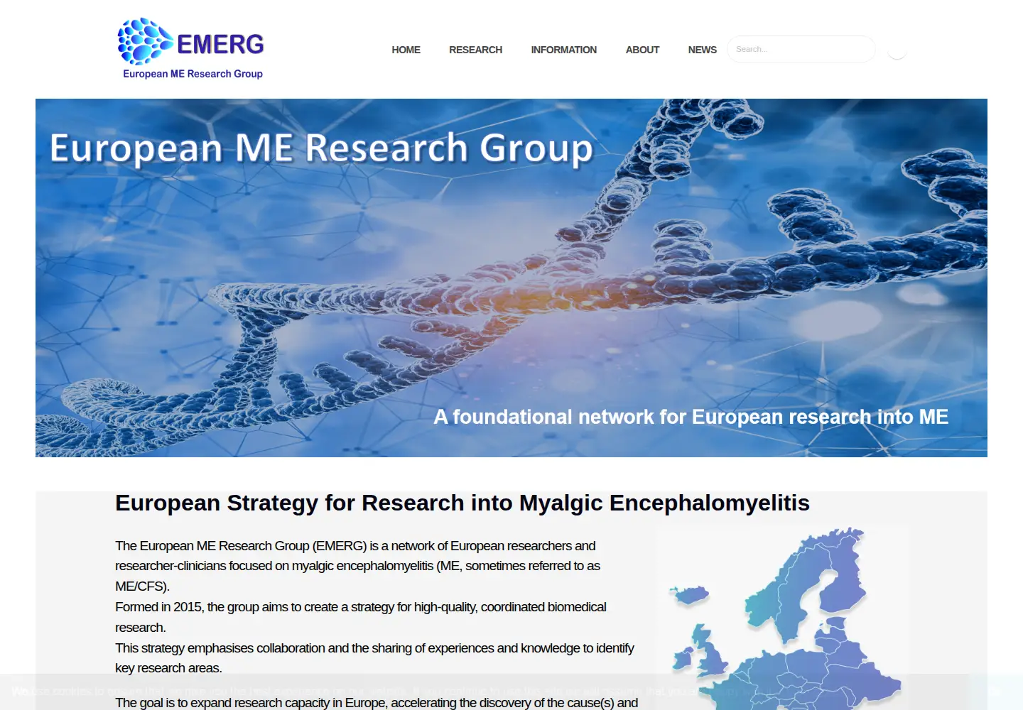 Captured homepage of emerg.eu in the current scan
