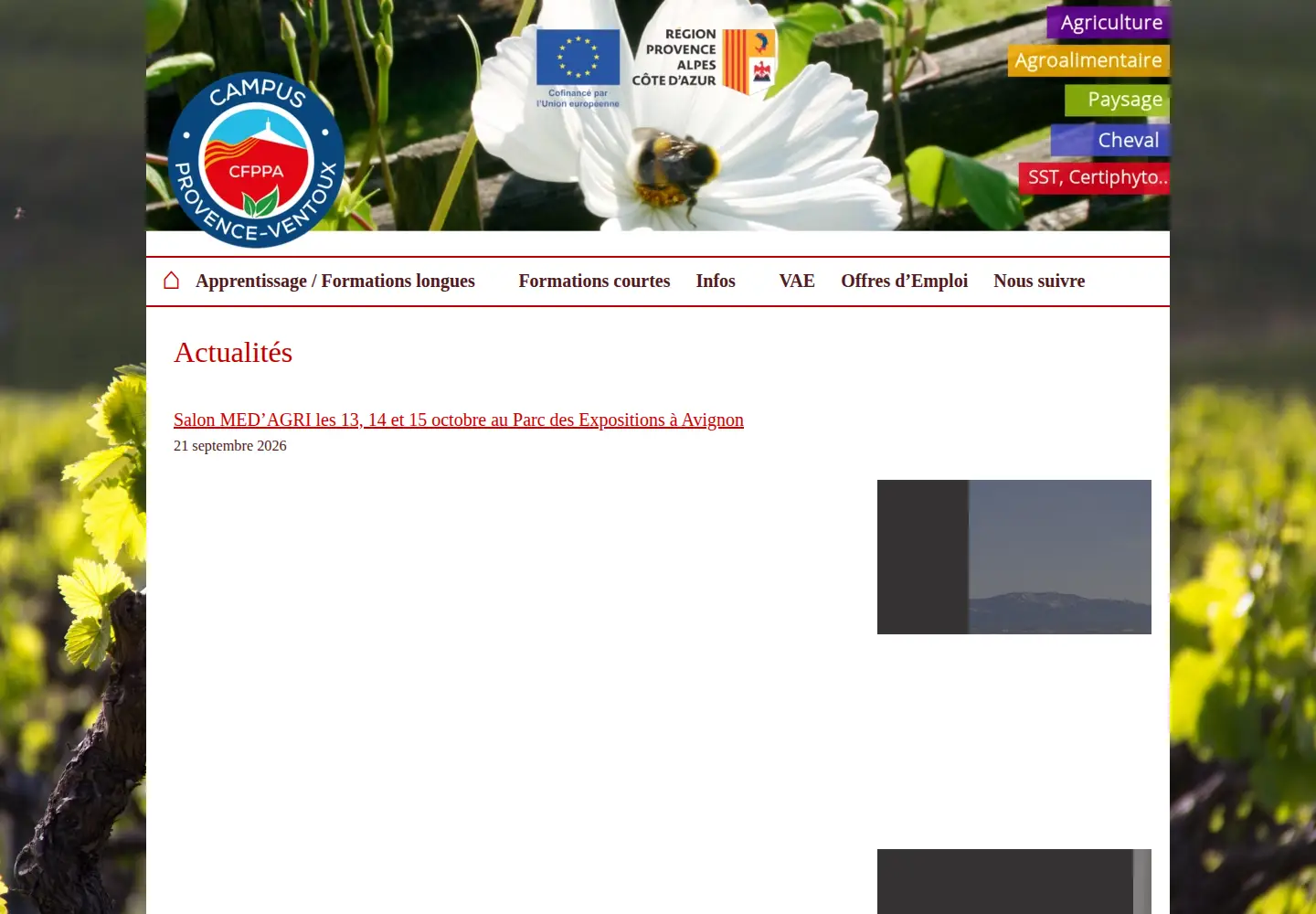 Captured homepage of cfppaprovenceventoux.fr in the current scan