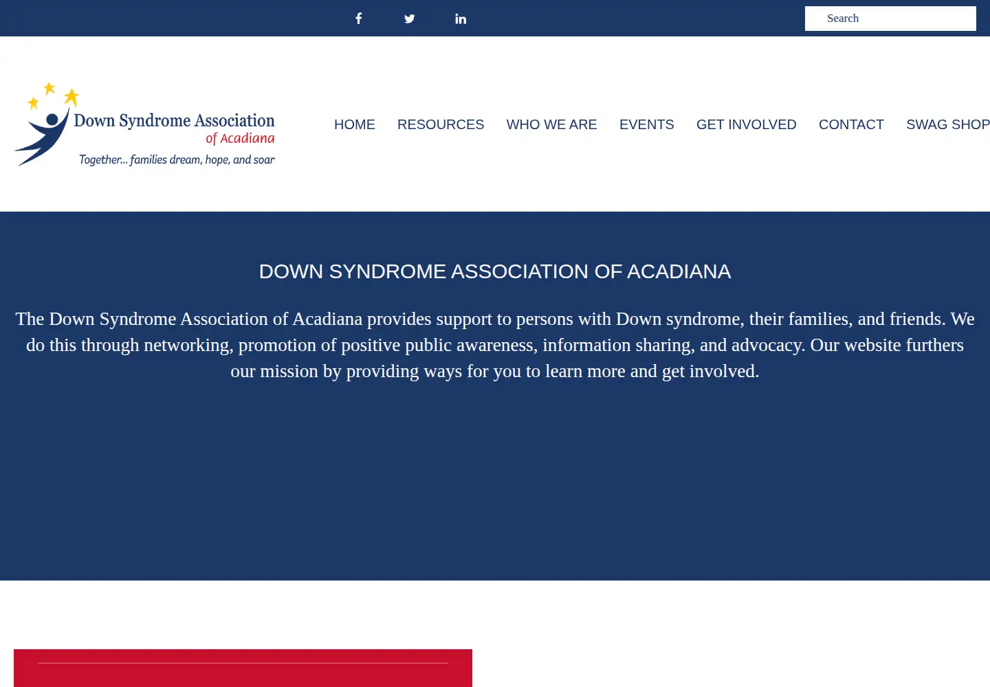 Captured homepage of dsaa.info in the current scan
