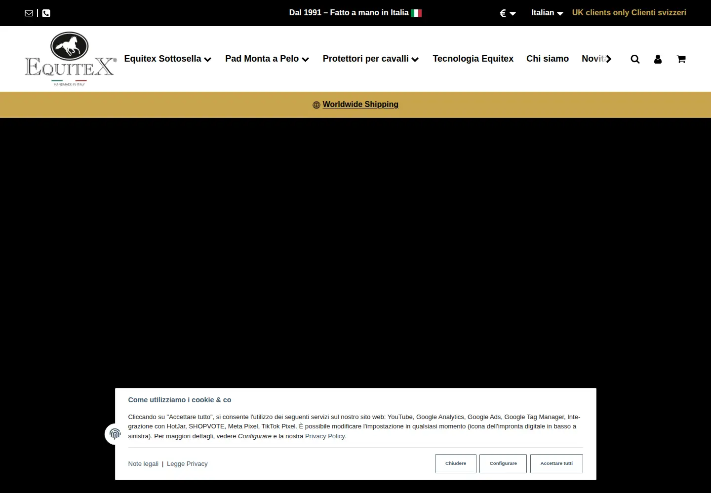 Captured homepage of equitex.it in the current scan