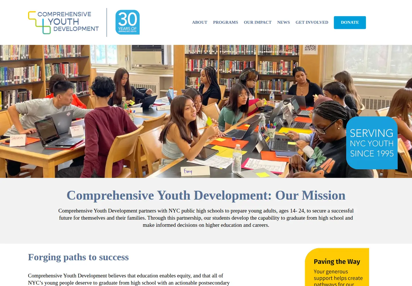 Screenshot of comprehensiveyouthdevelopment.org