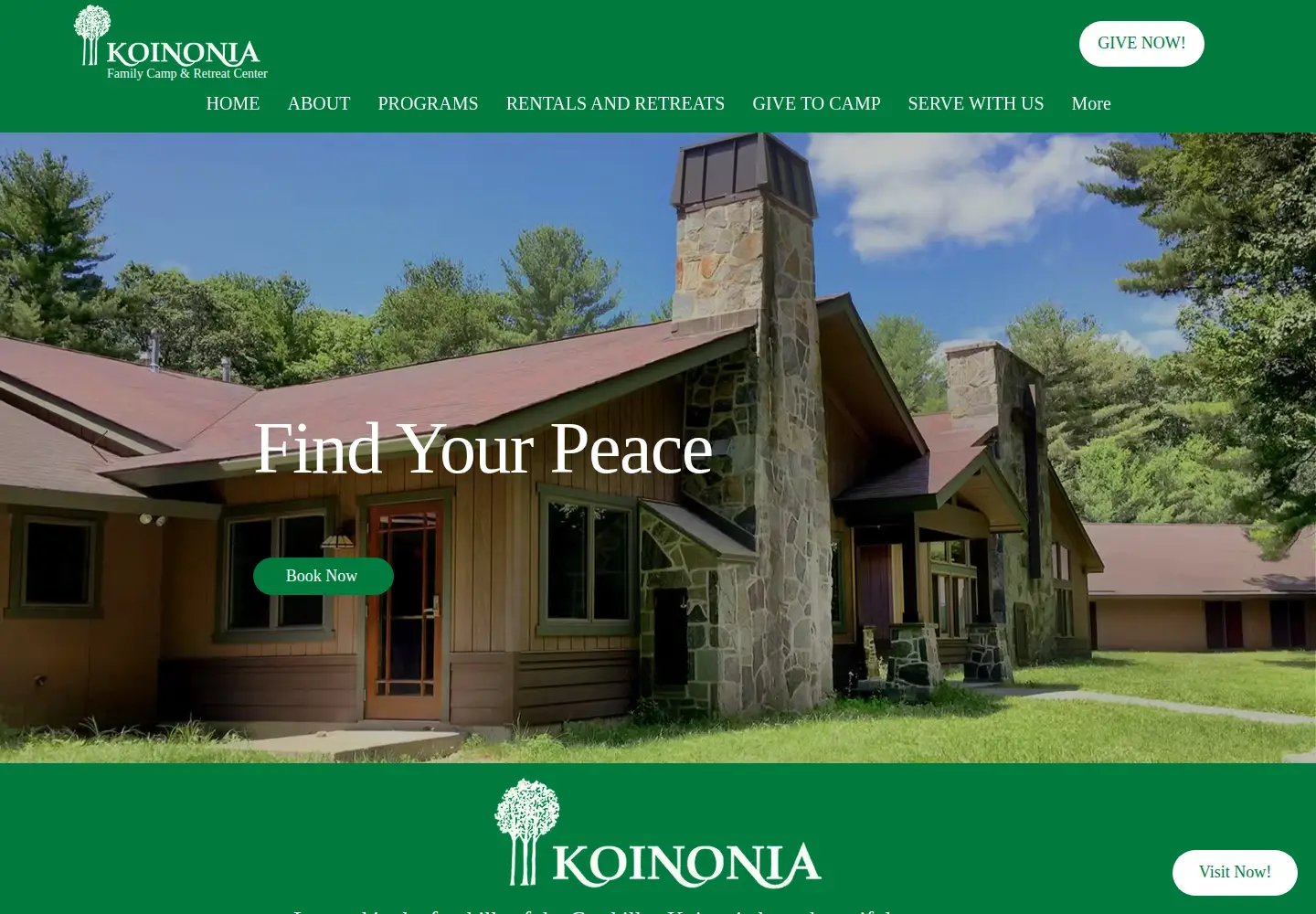 Captured homepage of koinoniany.org in the current scan