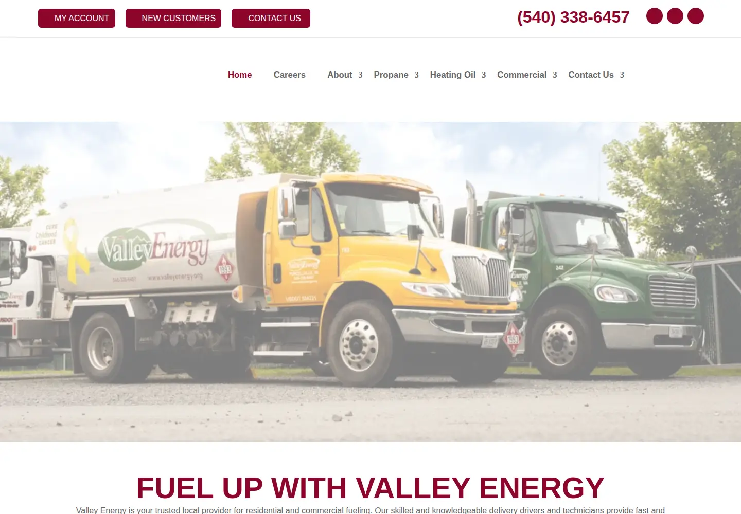Captured homepage of valleyenergy.org in the current scan