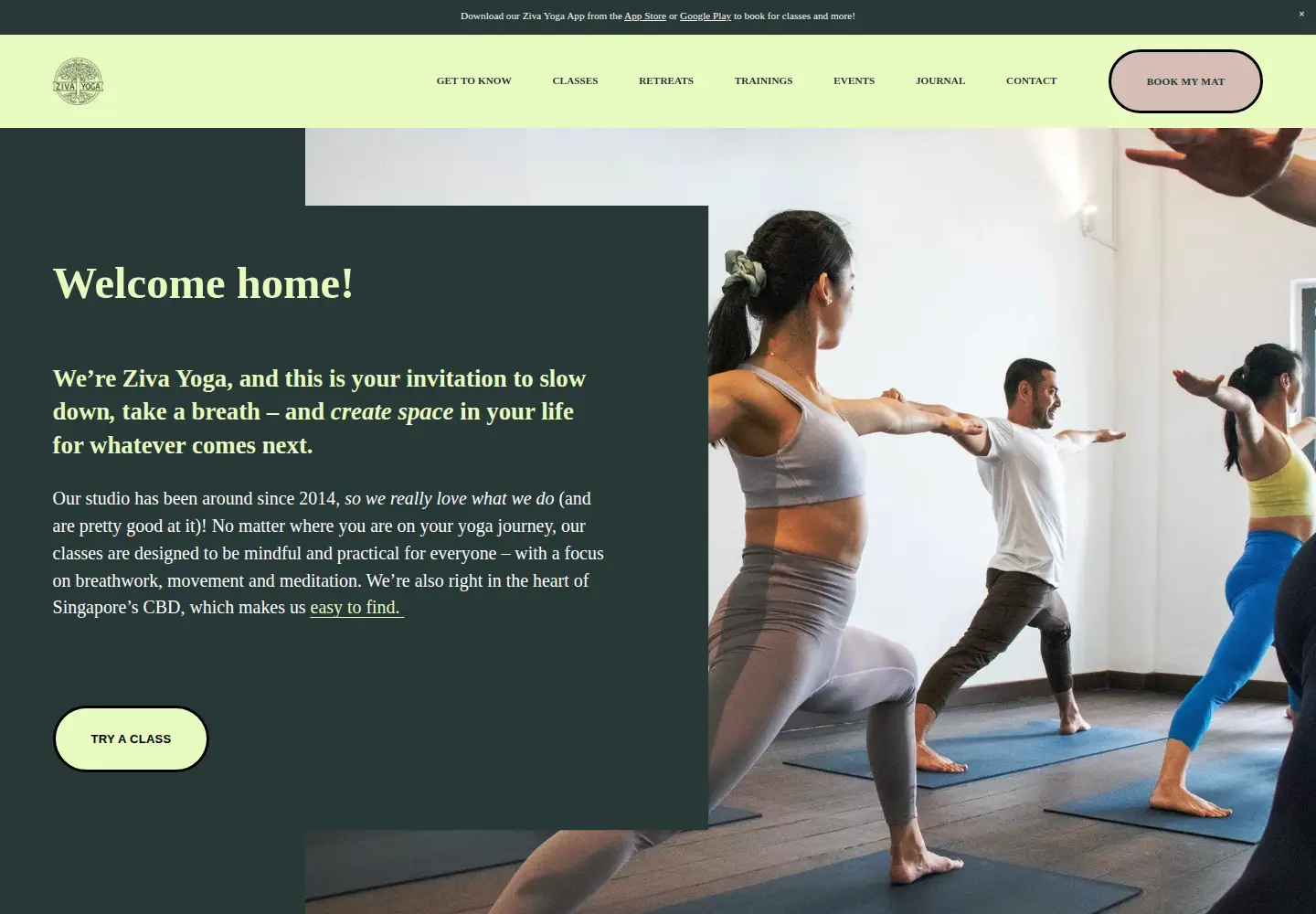 Captured homepage of zivayoga.com.sg in the current scan