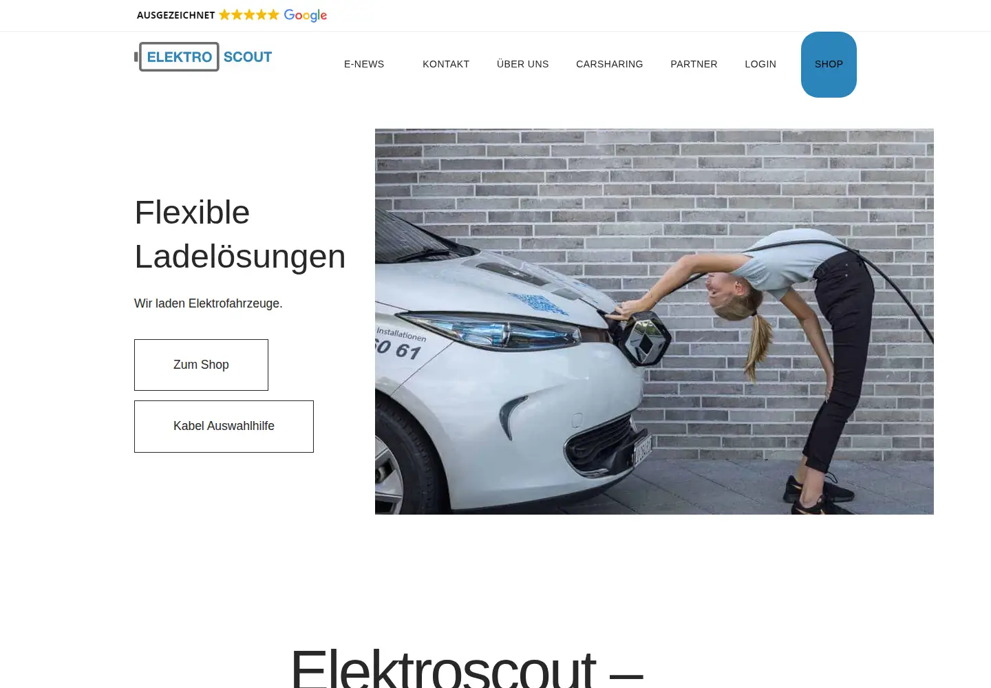Screenshot of elektroscout.ch