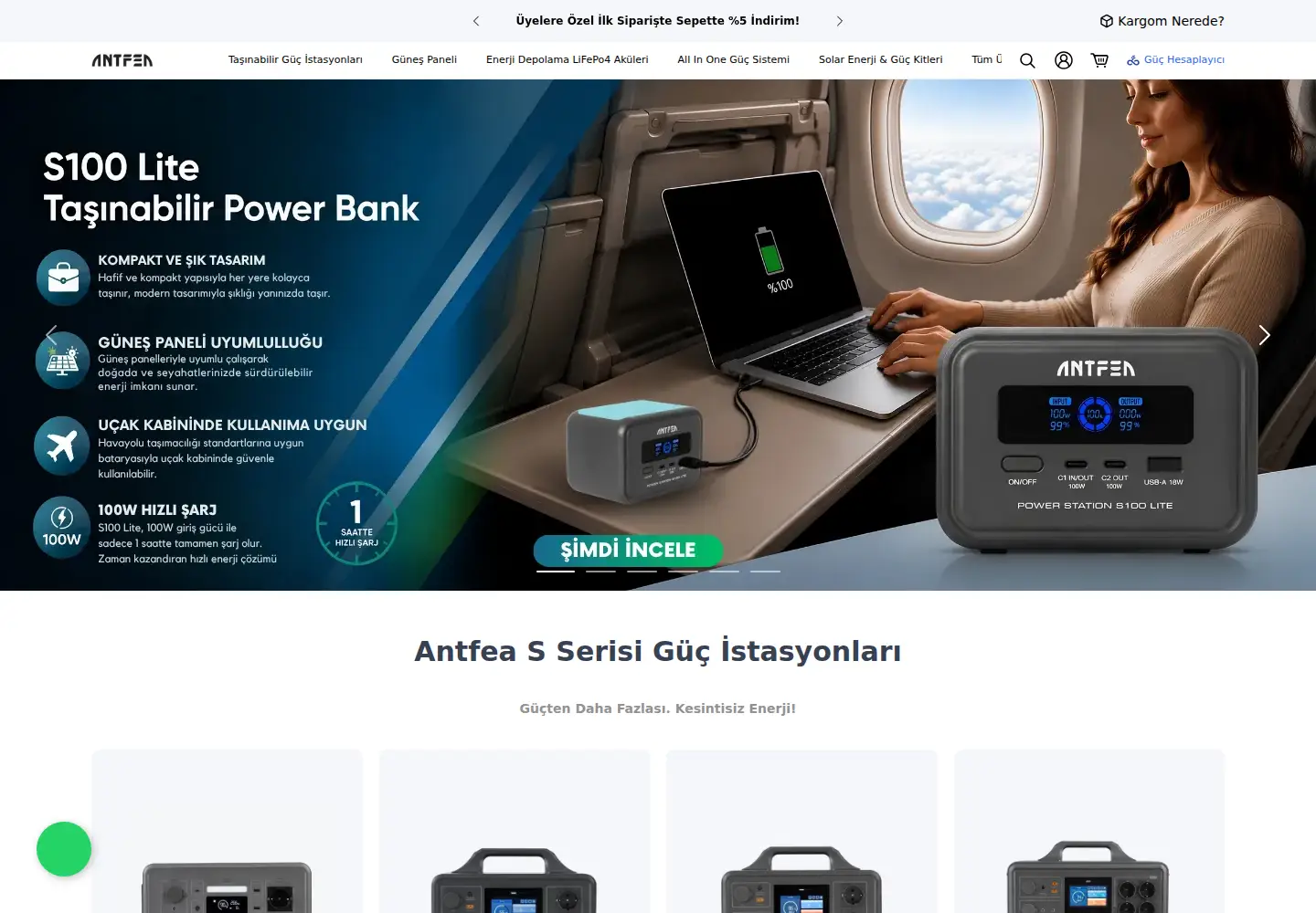 Screenshot of antfea.com