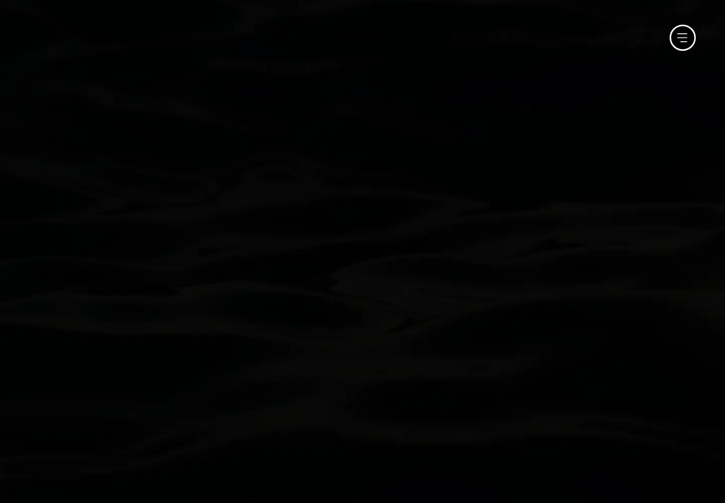 Screenshot of bogdanov.com
