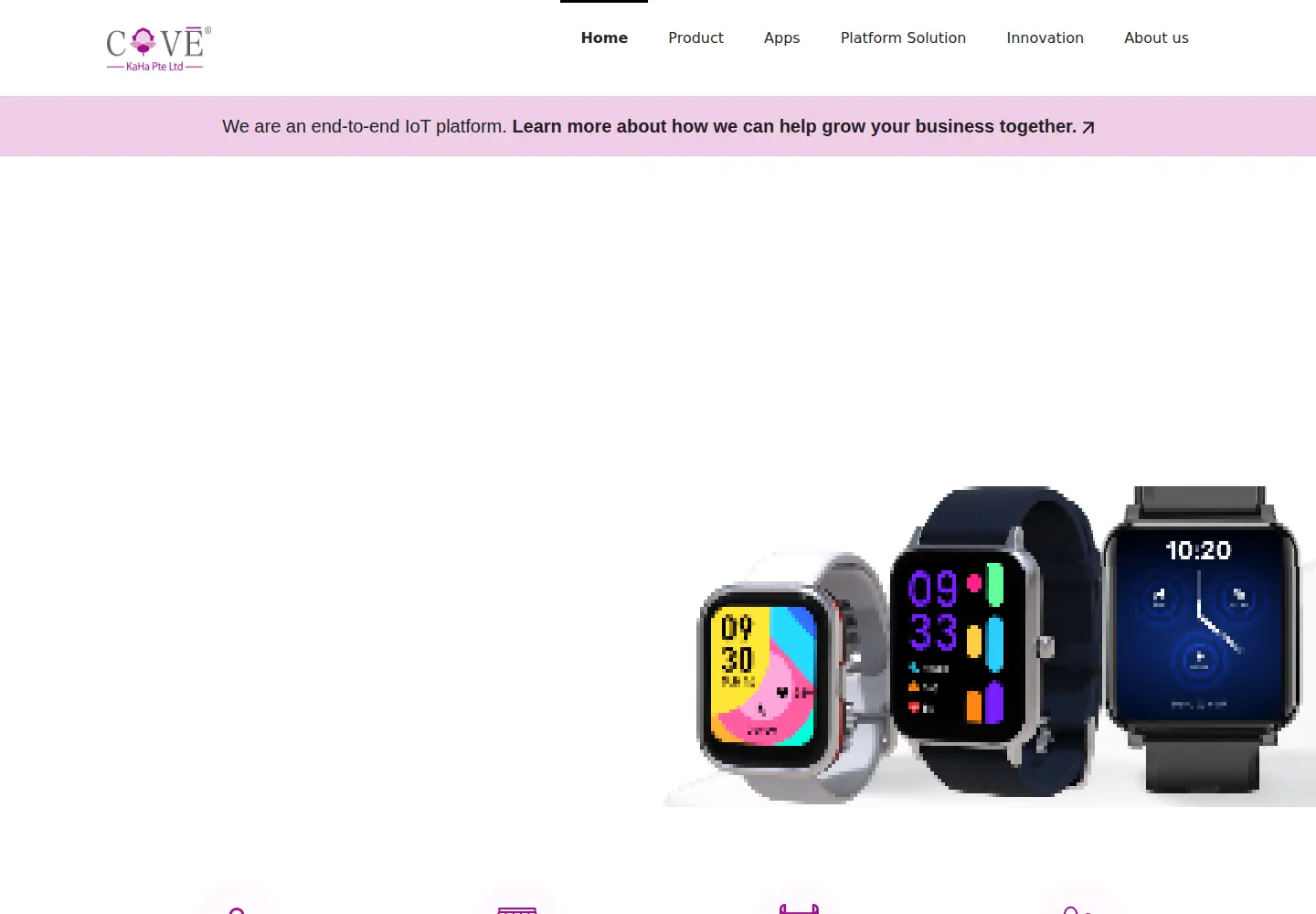 Captured homepage of coveiot.com in the current scan