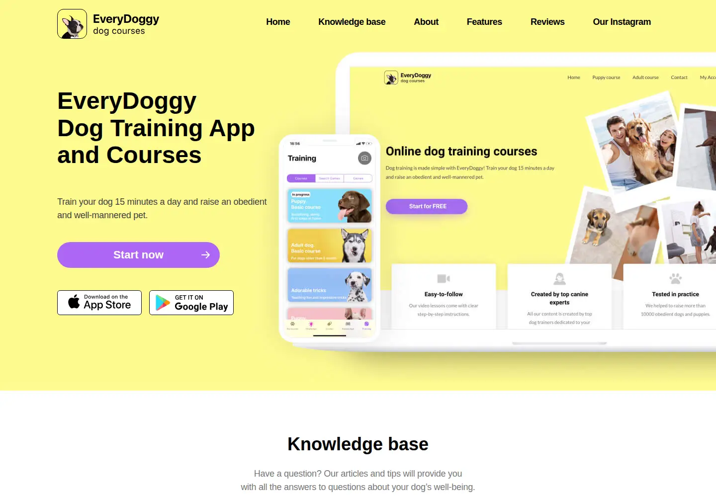 Captured homepage of everydoggy.com in the current scan