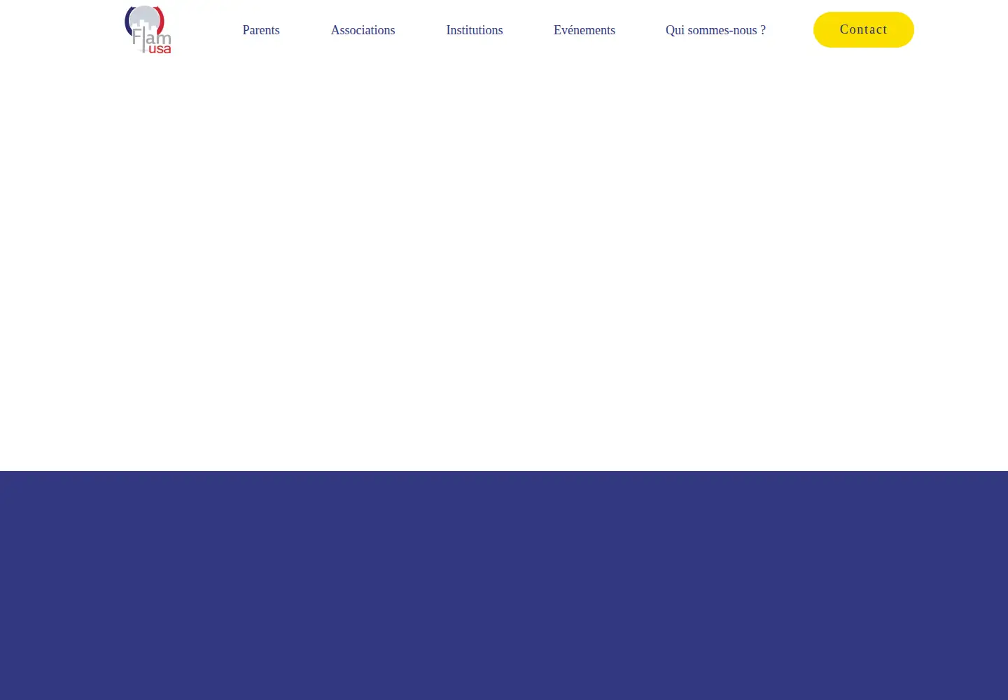 Screenshot of flamusa.com