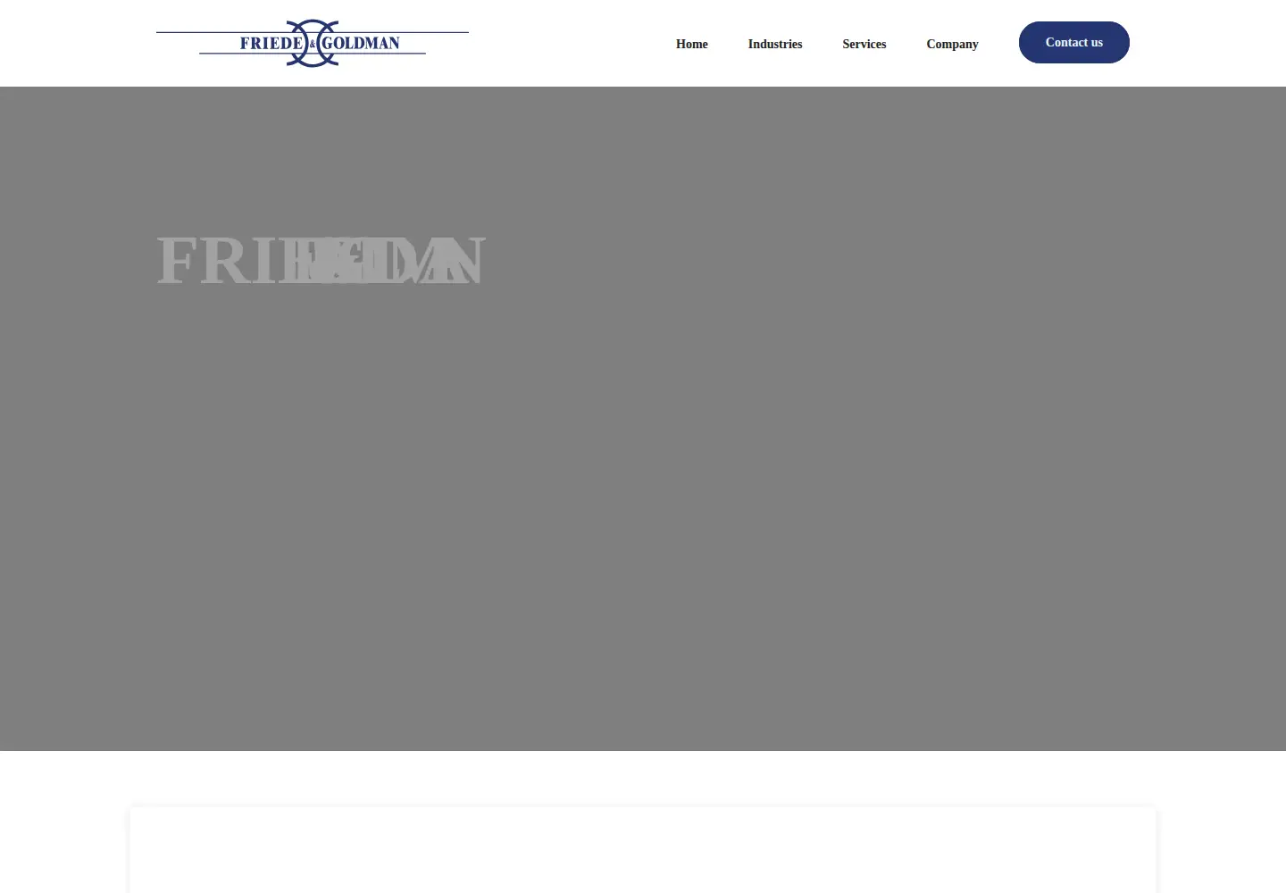 Captured homepage of fng.com in the current scan