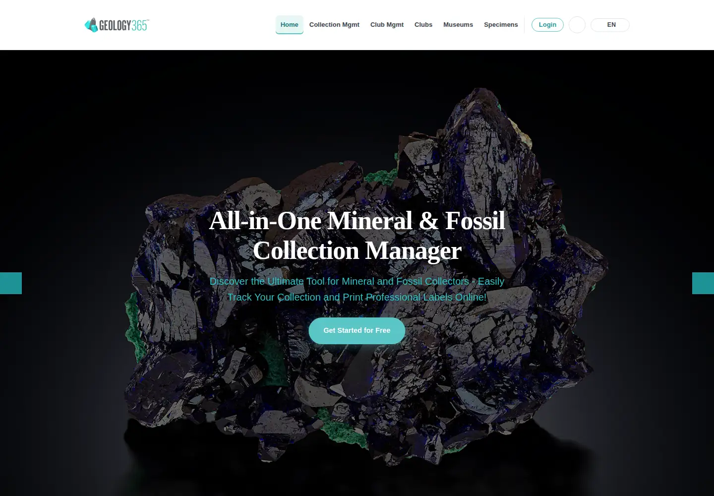 Captured homepage of geology365.com in the current scan