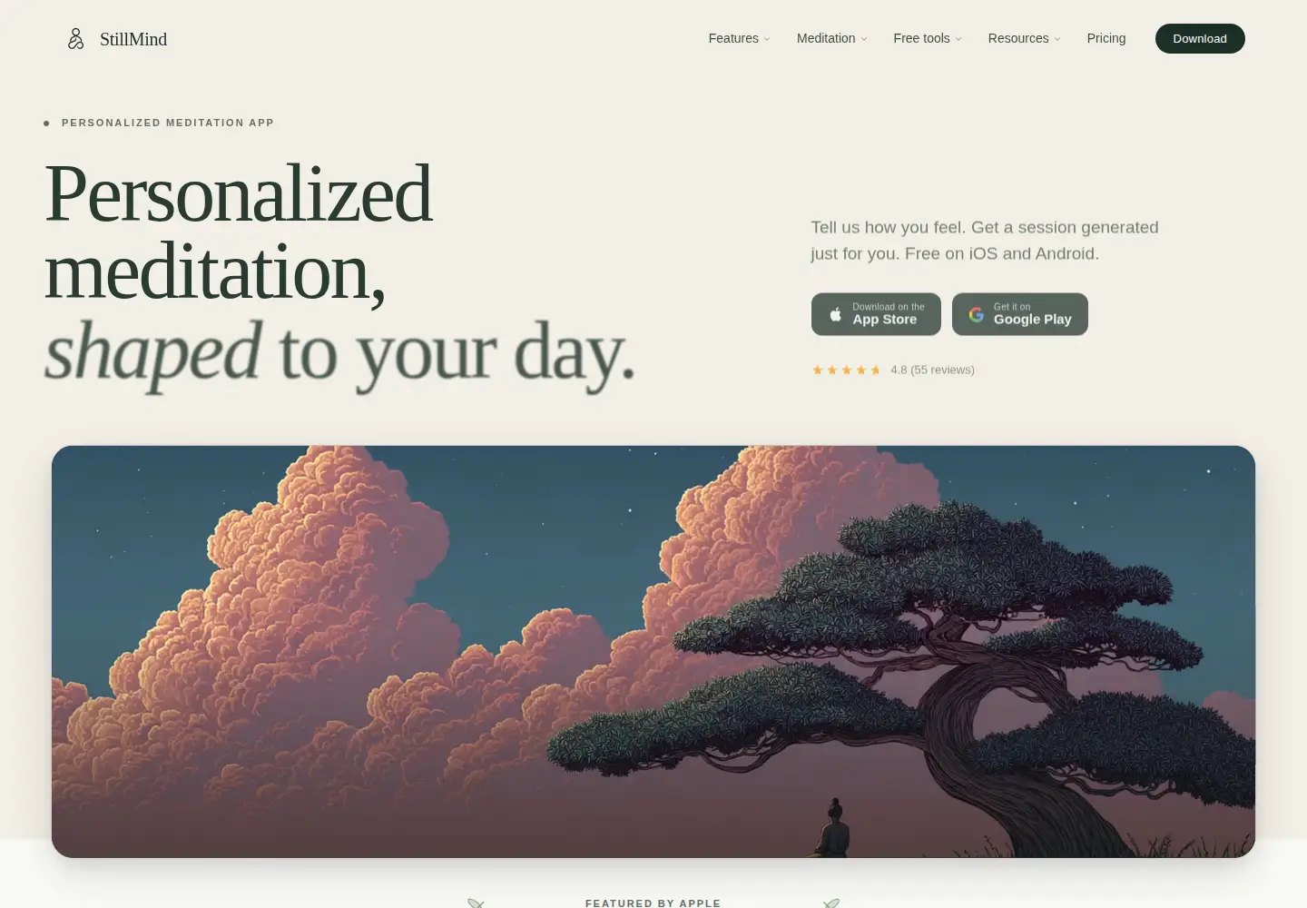 Captured homepage of getstillmind.com in the current scan