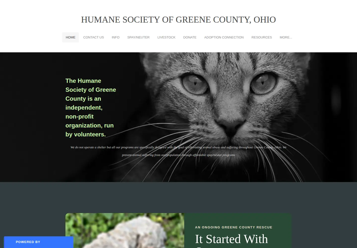 Captured homepage of humanesocietygreenecounty.com in the current scan